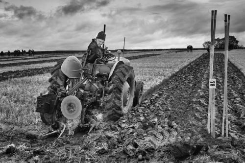 Ploughing-Competition